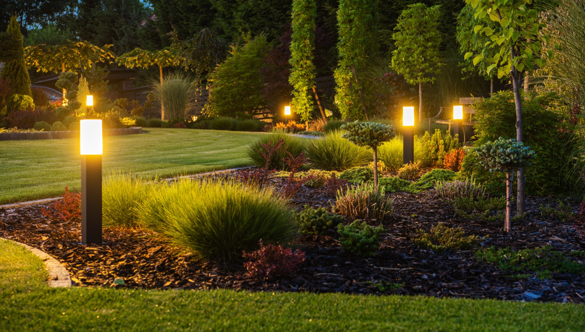 Warm landscape lighting illuminating a path through desert plants at dusk