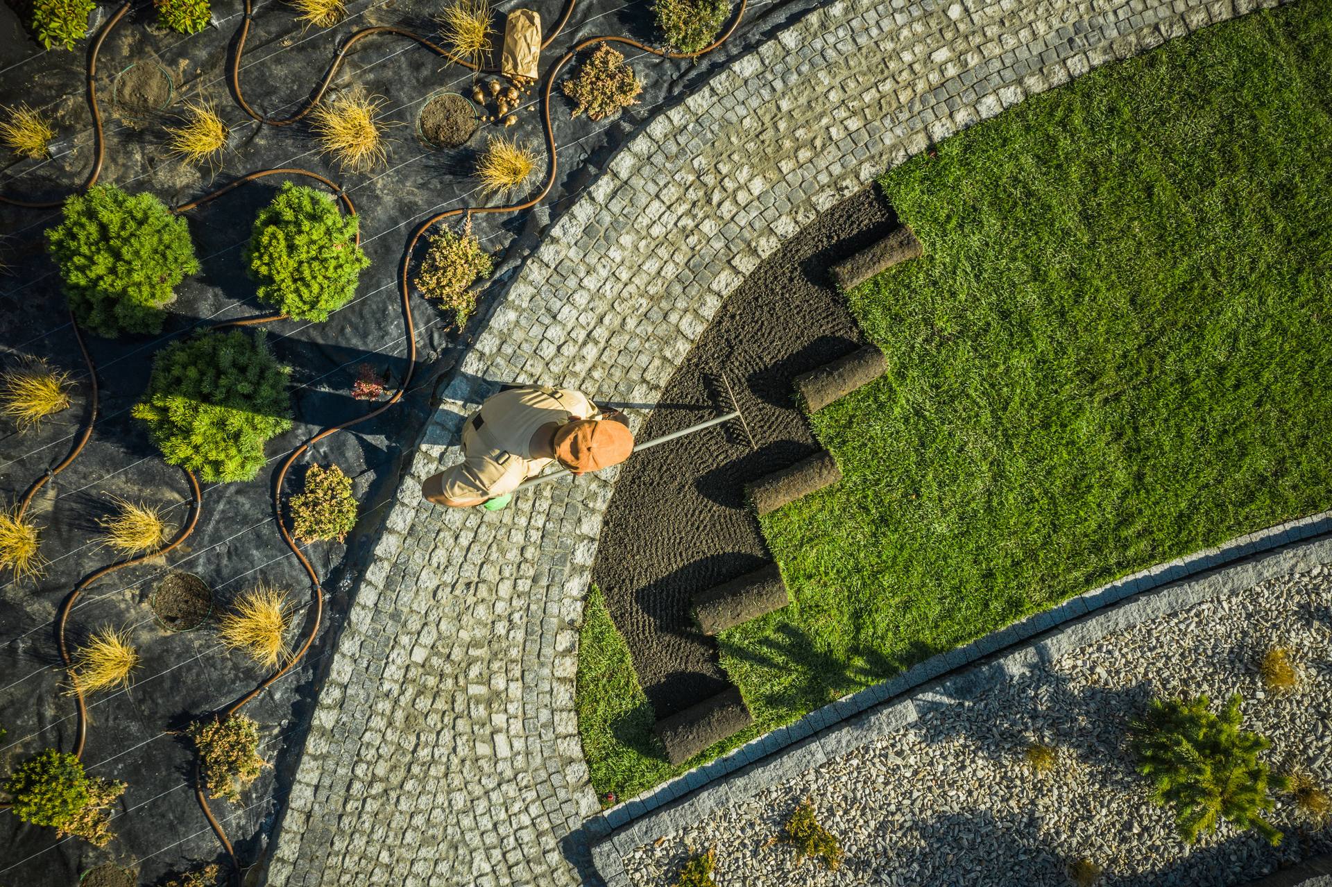 Greenville crew installing fresh turf in a Las Vegas backyard